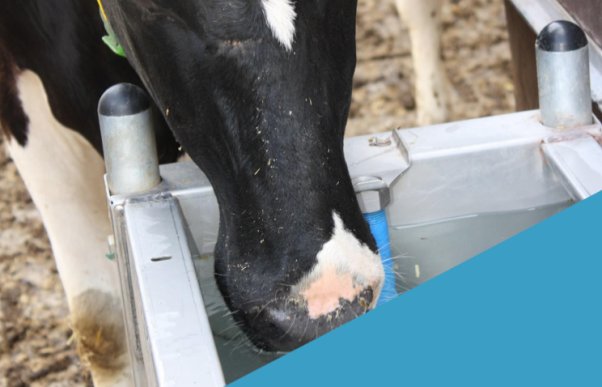 Lesbrief Suevia - Drinksysteem voor dieren